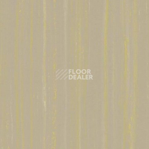 Линолеум Forbo Marmoleum Decibel on Order 524435 hint of yellow фото 1 | FLOORDEALER